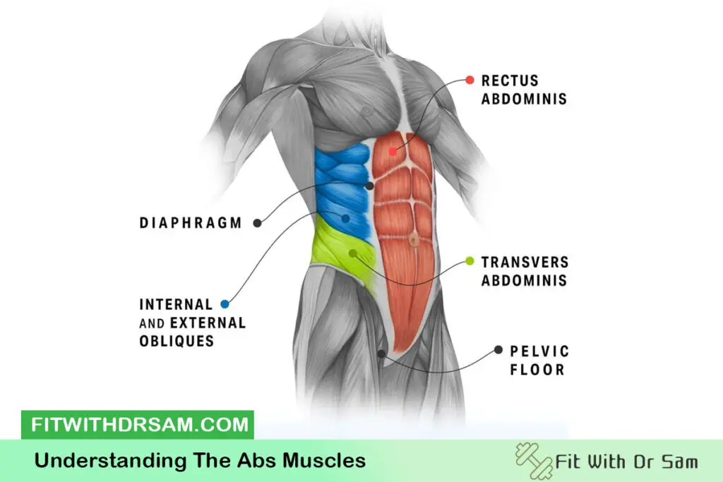 Effective Training and Nutrition Principles for Building ABS Muscles ...