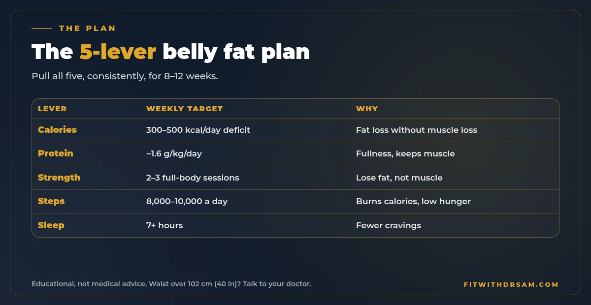 Chart of the belly fat plan for men over 40 in 5 levers: calories, protein, training, steps and sleep, with a weekly target for each