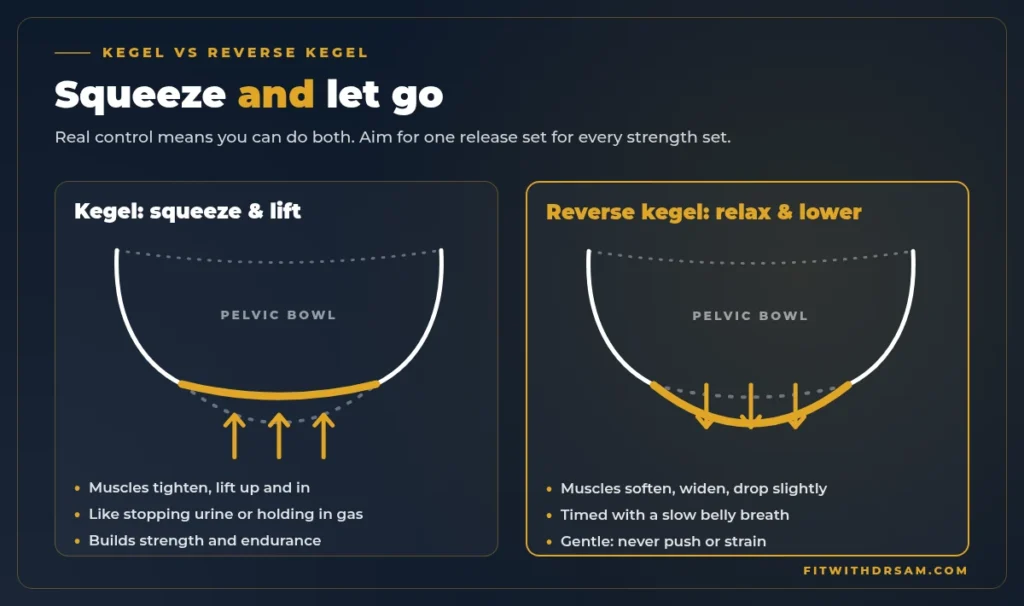 Side-by-side diagram: a regular kegel squeezes and lifts the pelvic floor, a reverse kegel relaxes and lowers it
