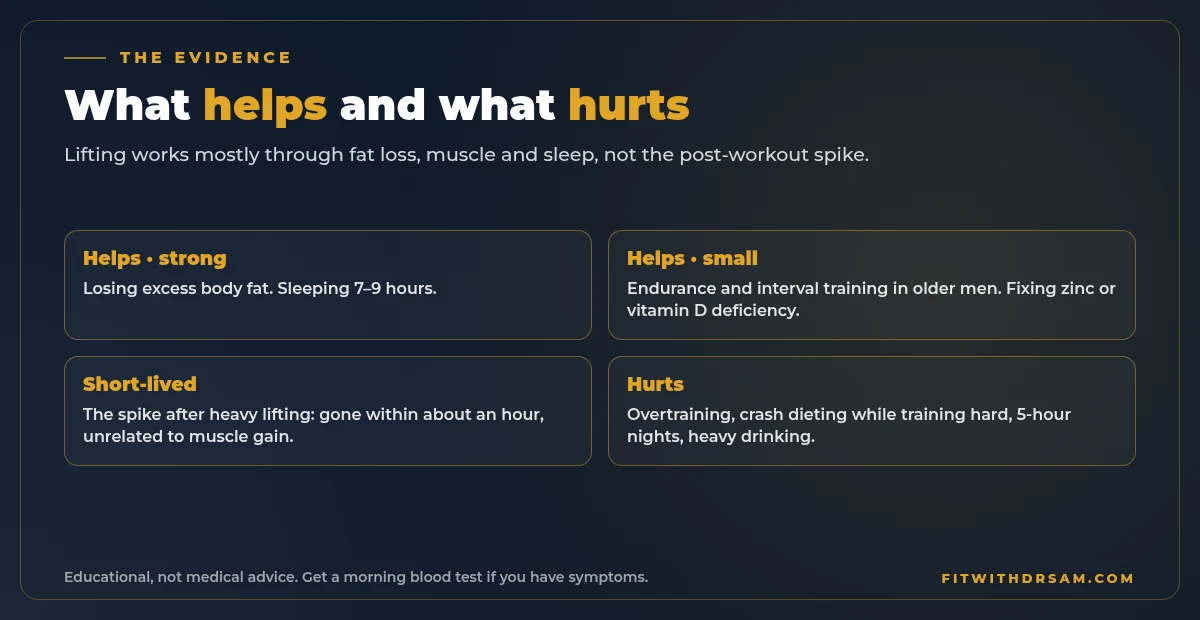 Chart comparing what helps testosterone: strong evidence for losing excess body fat and sleeping enough, a short-lived rise from heavy lifting, and what lowers it: overtraining, crash dieting, short sleep and heavy drinking